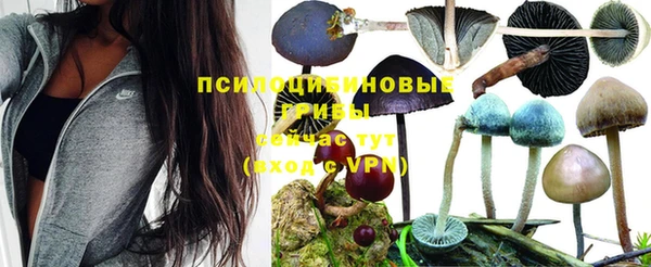 кристаллы Няндома